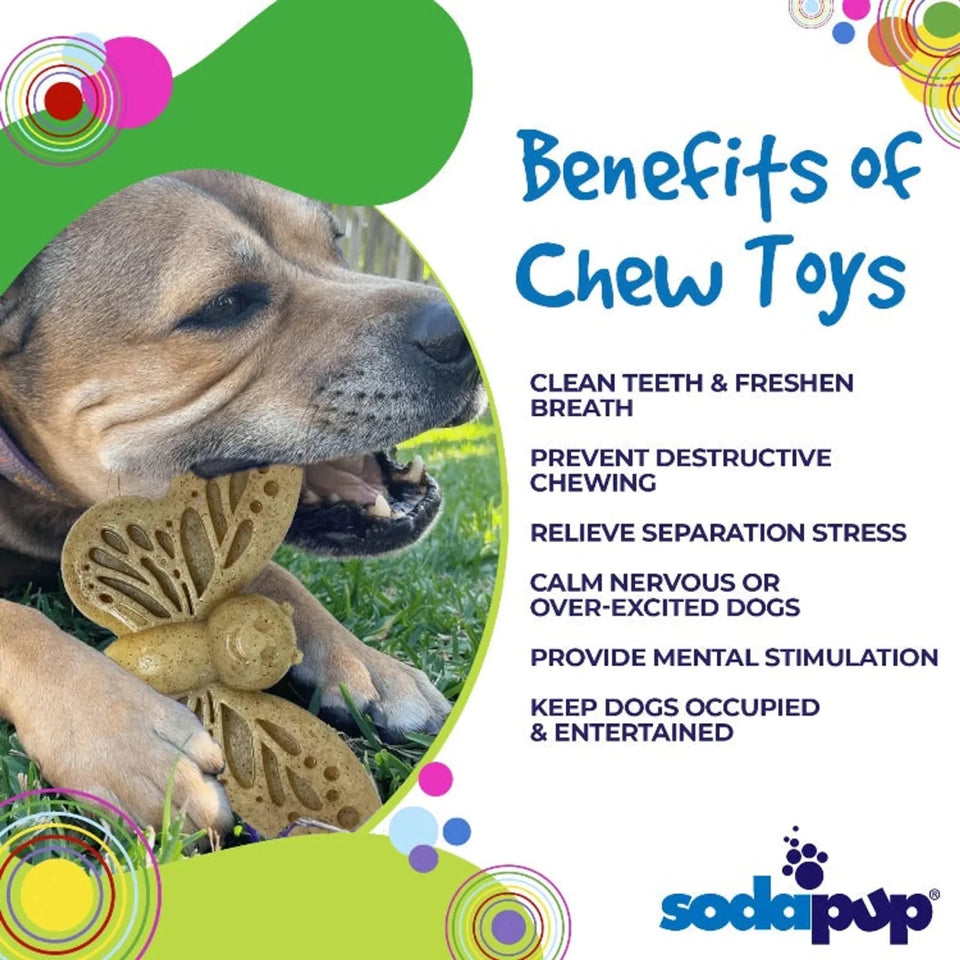 SP Butterfly Chew and Enrichment Dog Toy - Pets Perfect