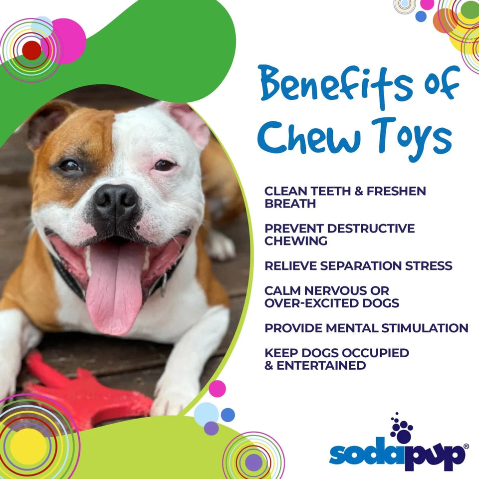 SP Electric Guitar Ultra Durable Nylon Dog Chew Toy for Aggressive Chewers - Pets Perfect