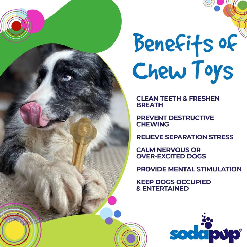 Knuckle Bone Ultra Durable Nylon Dog Chew Toy for Aggressive Chewers - Pets Perfect