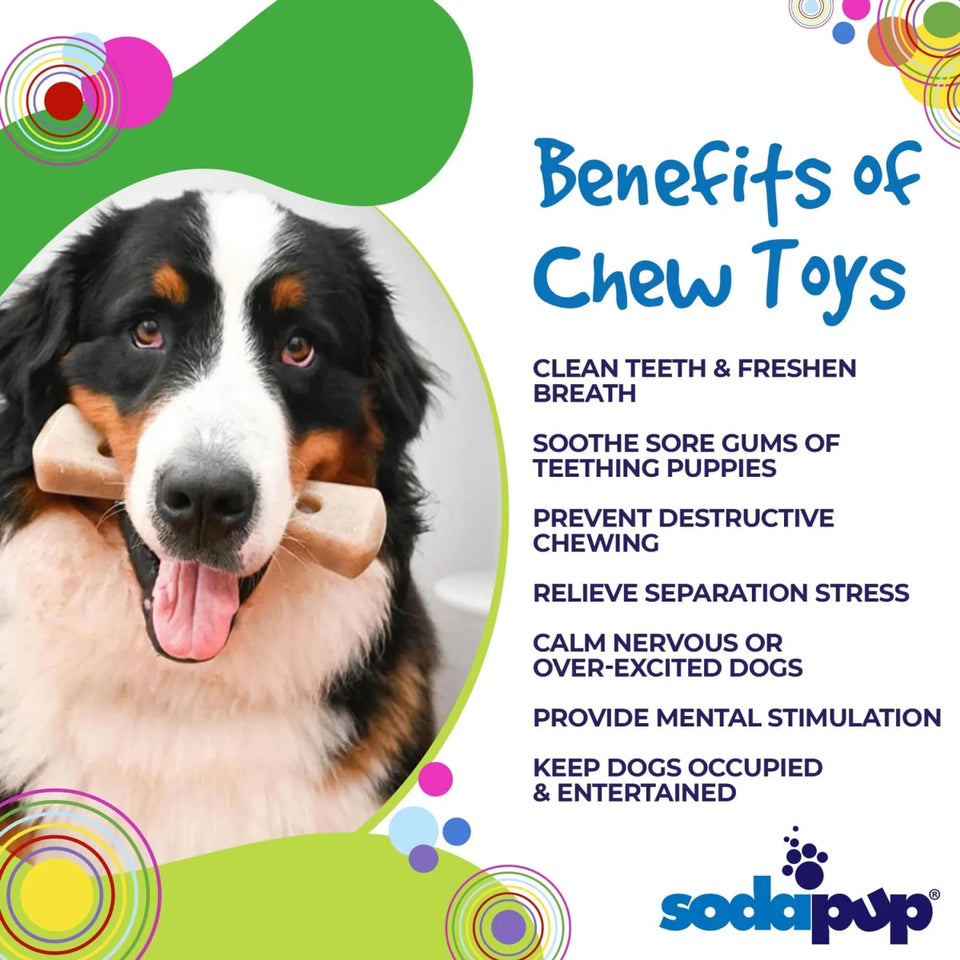 SP MOD Bone Ultra Durable Nylon Dog Chew Toy for Aggressive Chewers - Pets Perfect