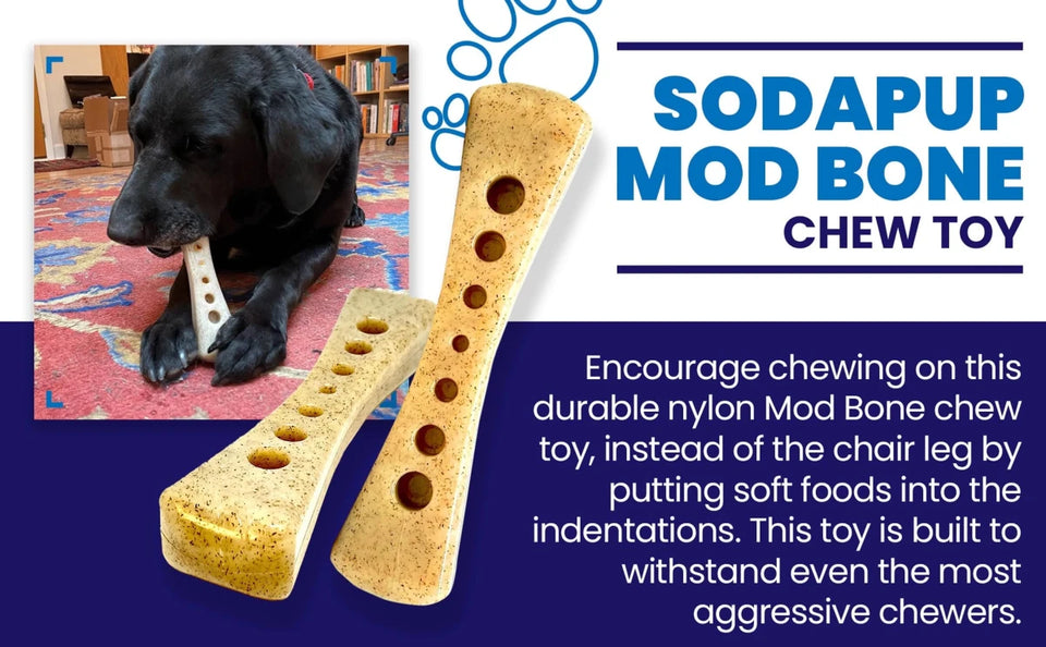 SP MOD Bone Ultra Durable Nylon Dog Chew Toy for Aggressive Chewers - Pets Perfect