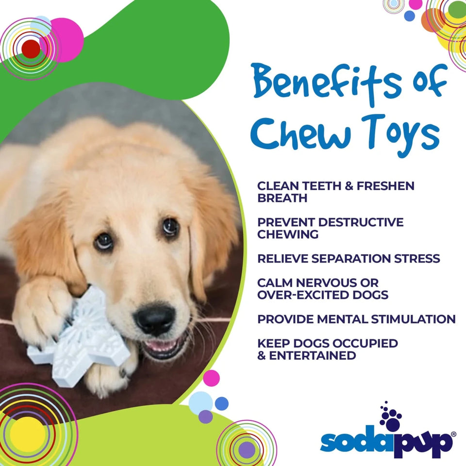 SP Snowflake Ultra Durable Nylon Dog Chew Toy for Aggressive Chewers - Pets Perfect