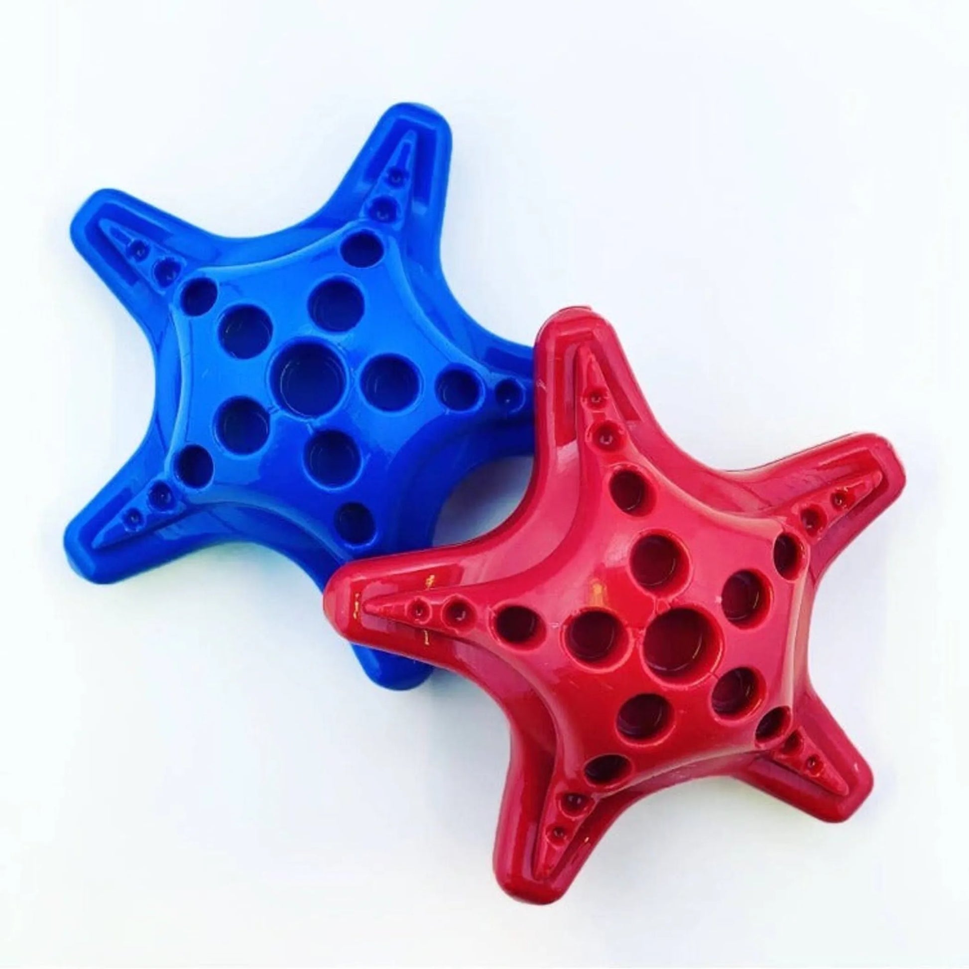Starfish Ultra Durable Nylon Dog Chew Toy for Aggressive Chewers - Pets Perfect