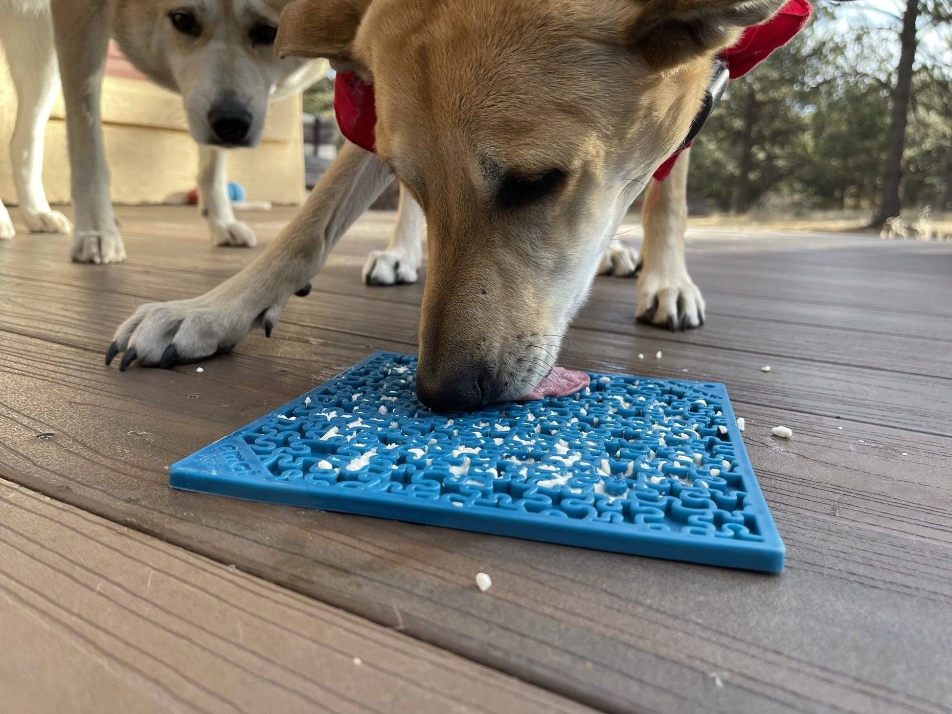 Jigsaw Design eMat Enrichment Lick Mat - Pets Perfect