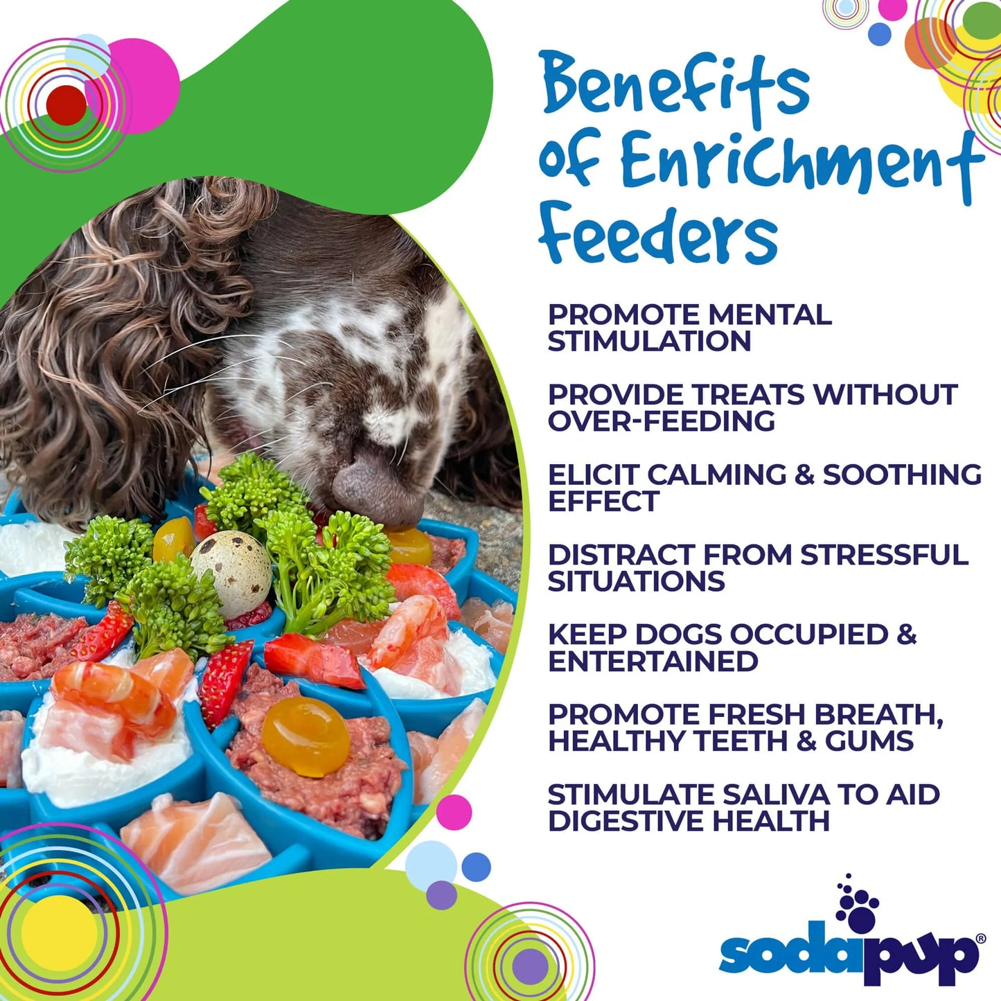 Mandala Design eTray Enrichment Tray for Dogs - Pets Perfect