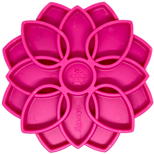 Mandala Design eTray Enrichment Tray for Dogs - Pets Perfect