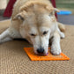 Zombie Design Emat Enrichment Lick Mat - Pets Perfect