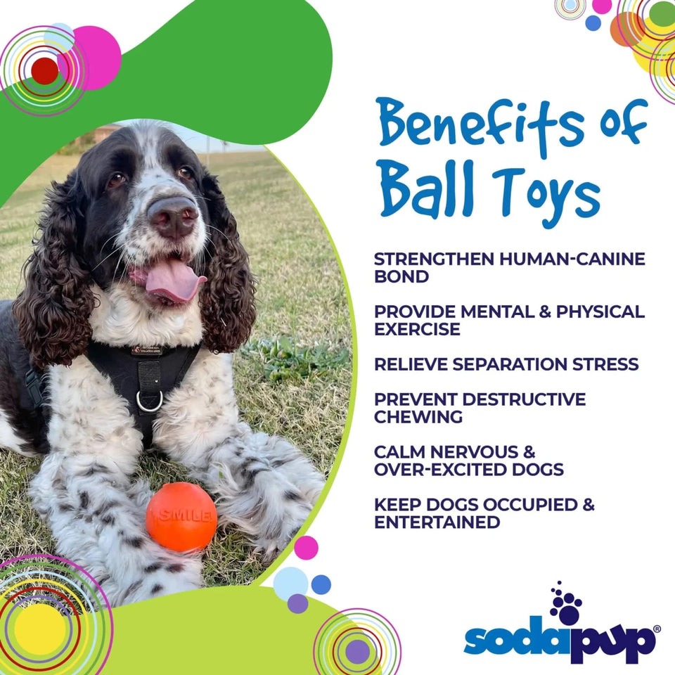 SP Smile Ball Ultra Durable Synthetic Rubber Chew Dog Toy & Floating Retrieving Toy - Pets Perfect