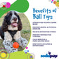 SP Smile Ball Ultra Durable Synthetic Rubber Chew Toy & Floating Retrieving Toy - Pets Perfect