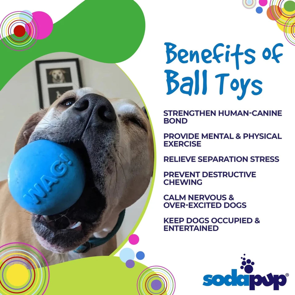 SP Wag Ball Ultra Durable Synthetic Rubber Chew Dog Toy & Floating Retrieving Toy - Pets Perfect