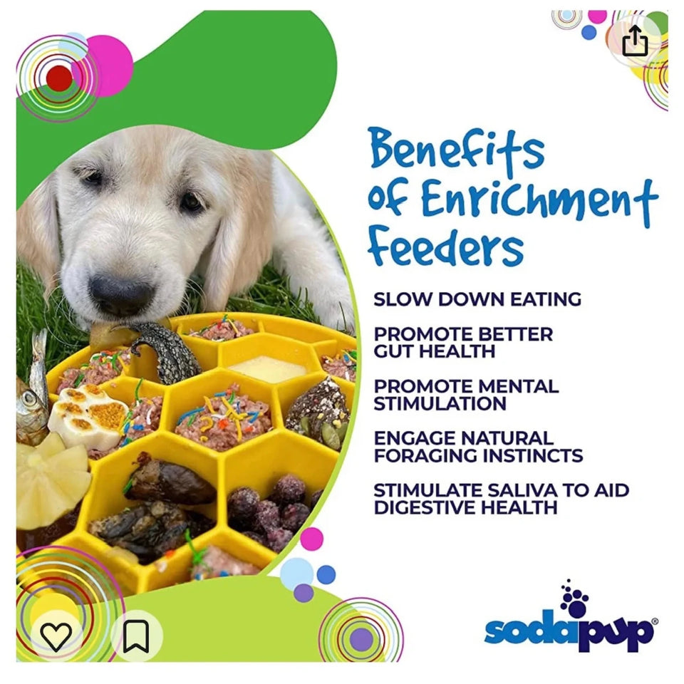 SodaPup Honeycomb eBowl Enrichment Slow-Feeder Dog Bowl, 8 in - Pets Perfect