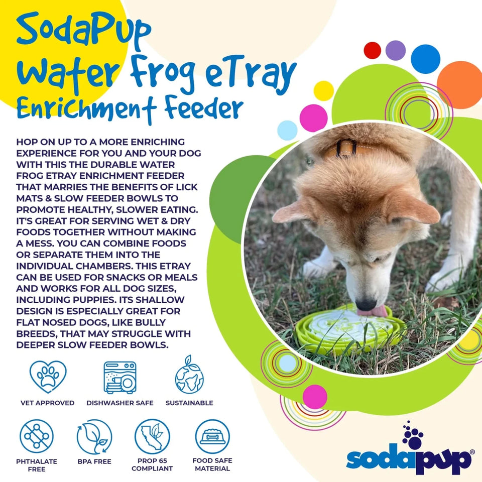 SodaPup Water Frog eTray Enrichment Slow-Feeder Tray, 8 in, view 6