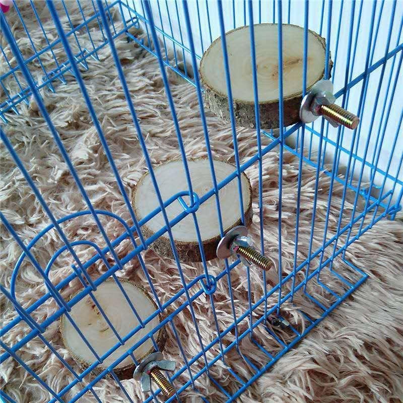 Wooden Springboard for Small Animals - Natural Exercise Toy for Hamsters, Gerbils & Parrots - Pets Perfect