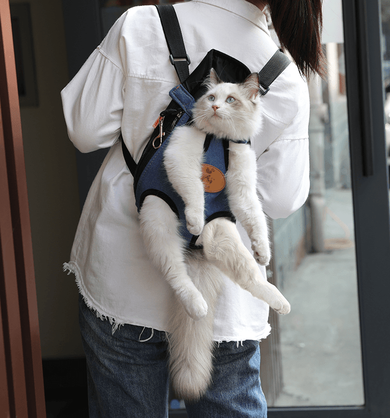 Spring Adventure Cat Carrier: Explore The Outdoors With Your Feline Friend - Pets Perfect