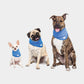 GF Pet Ice Band Dog Cooling Bandana - CoolFresh Technology