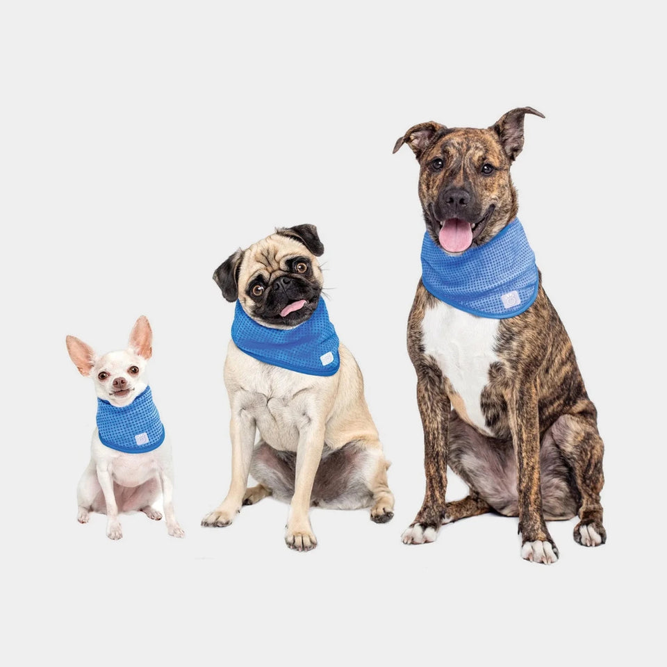 GF Pet Ice Band Dog Cooling Bandana - CoolFresh Technology, view 8