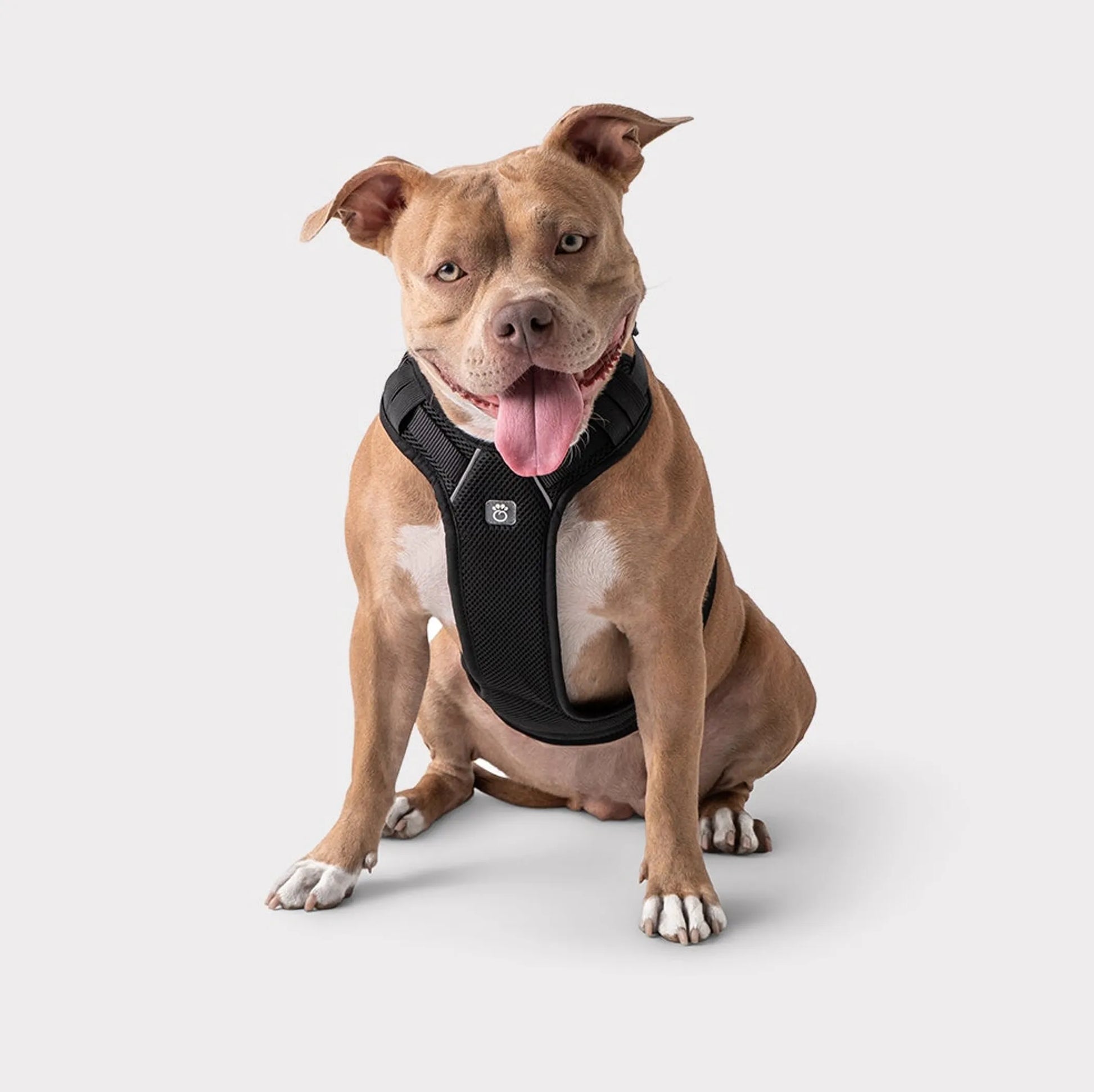 GF Pet Travel Harness - Pets Perfect