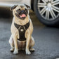 GF Pet Travel Harness - Pets Perfect