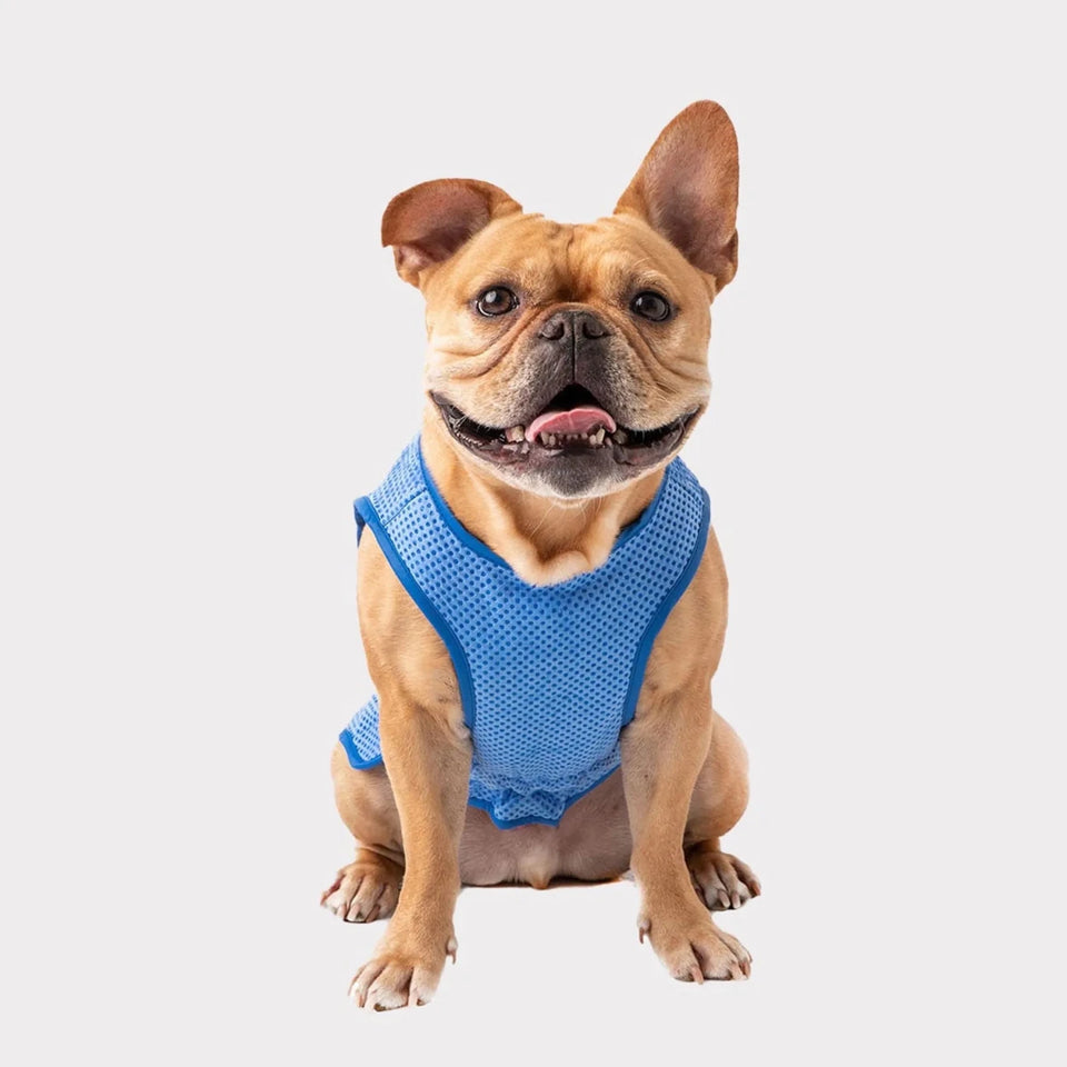 GF Pet ElastoFit Recycled Dog Parka, view 11