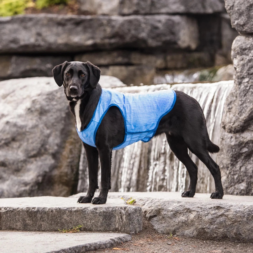 GF Pet ElastoFit Recycled Dog Parka, view 12