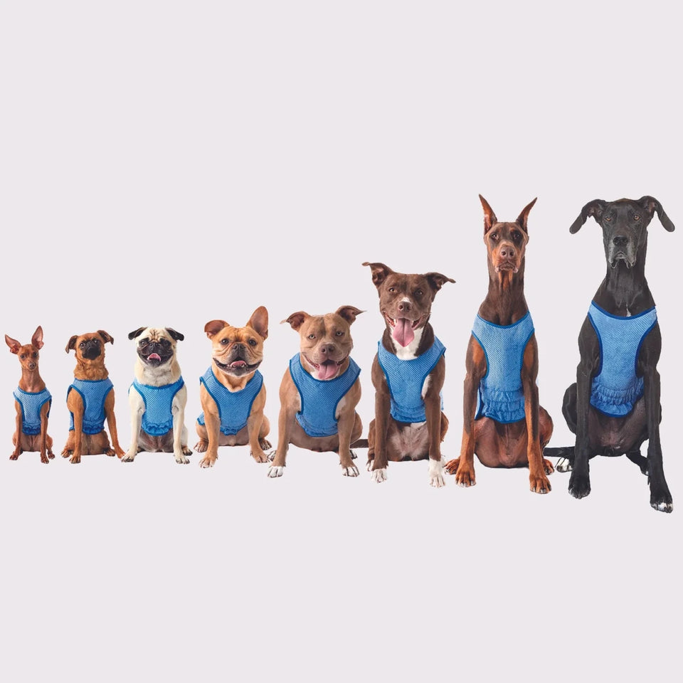 GF Pet ElastoFit Recycled Dog Parka, view 13
