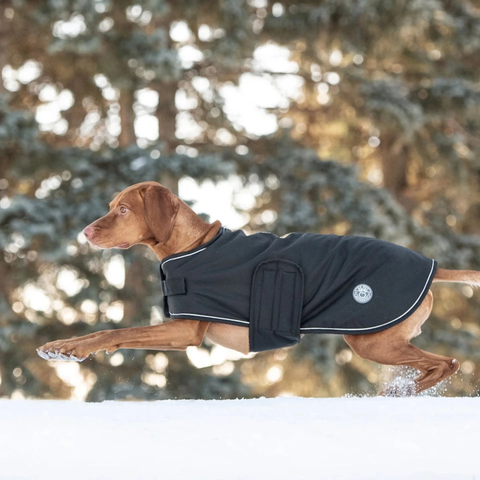 GF Pet Waterproof Dog Blanket Jacket - Polar Fleece Lined Coat, view 20