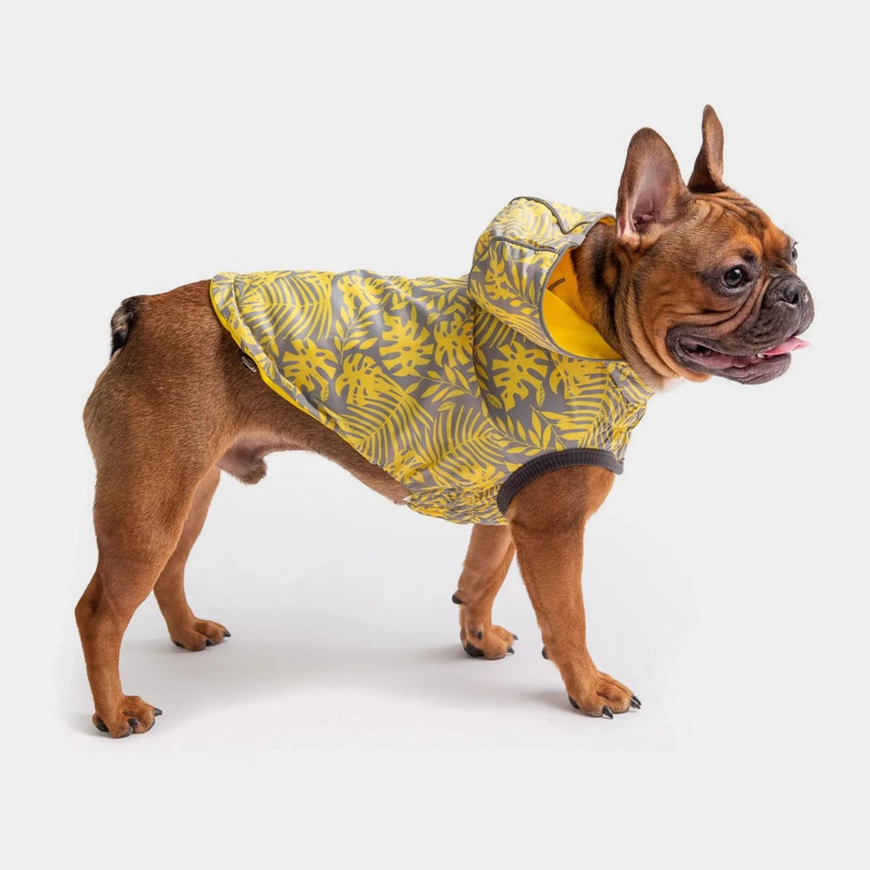 GF Pet Reversible ElastoFit Raincoat - Waterproof Dog Rain Jacket, view 40