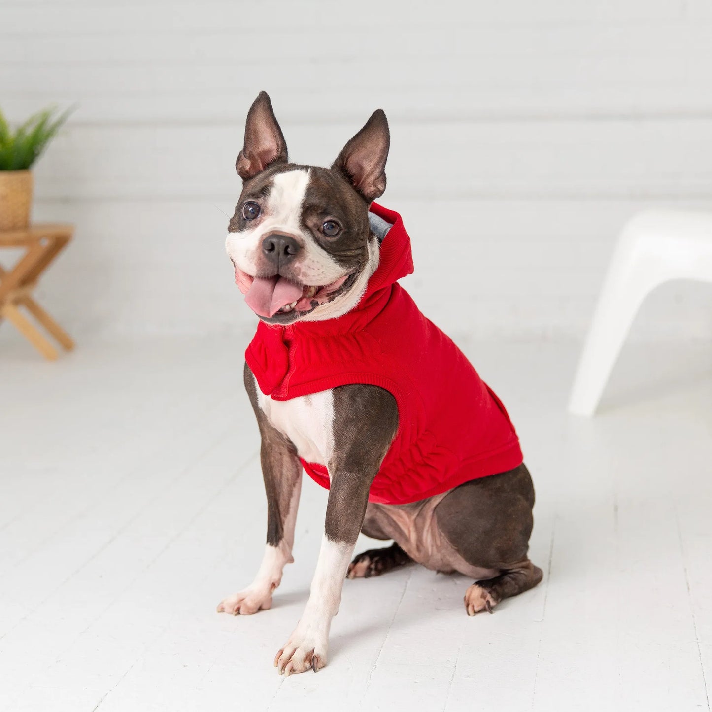GF Pet Elasto-Fit Urban Dog Hoodie with Kangaroo Pocket