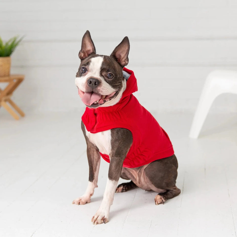 GF Pet Elasto-Fit Urban Dog Hoodie with Kangaroo Pocket, view 13