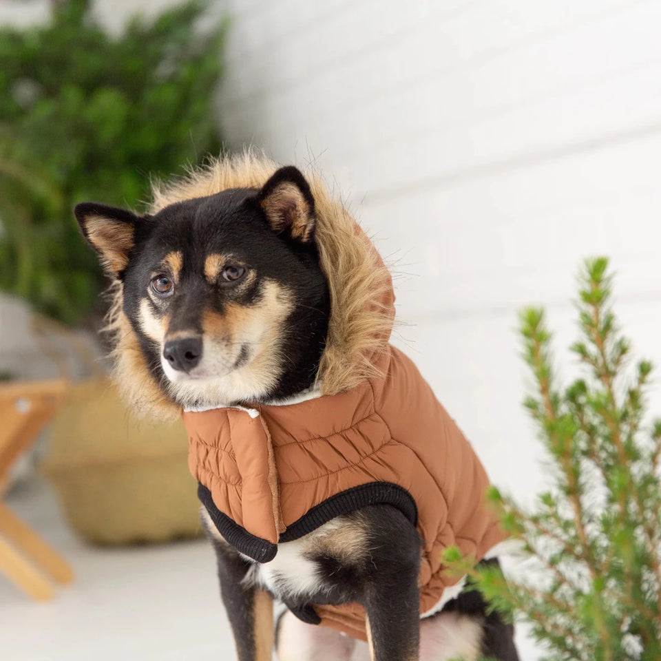 GF Pet ElastoFit Urban Dog Parka - Sherpa Lined Dog Coat, view 24
