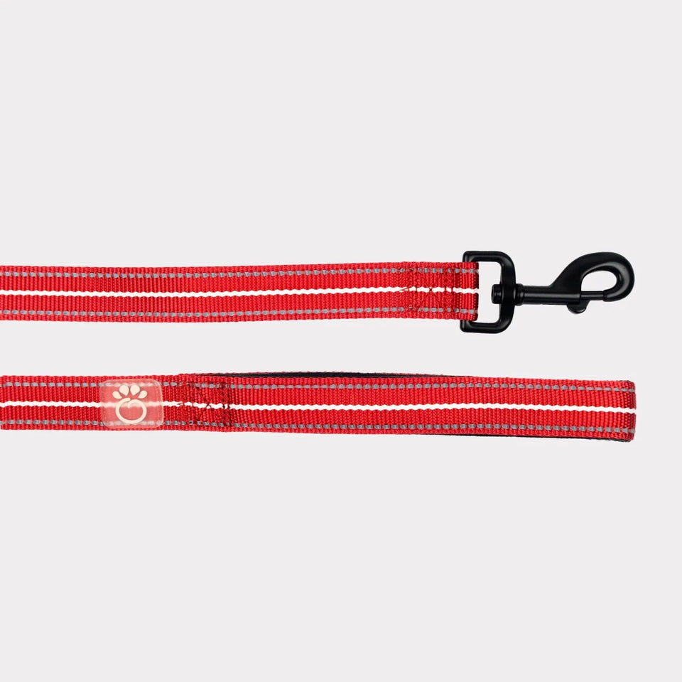 GF Pet Reflective Dog Leash, view 9