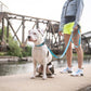 GF Pet Reflective Leash - Pets Perfect