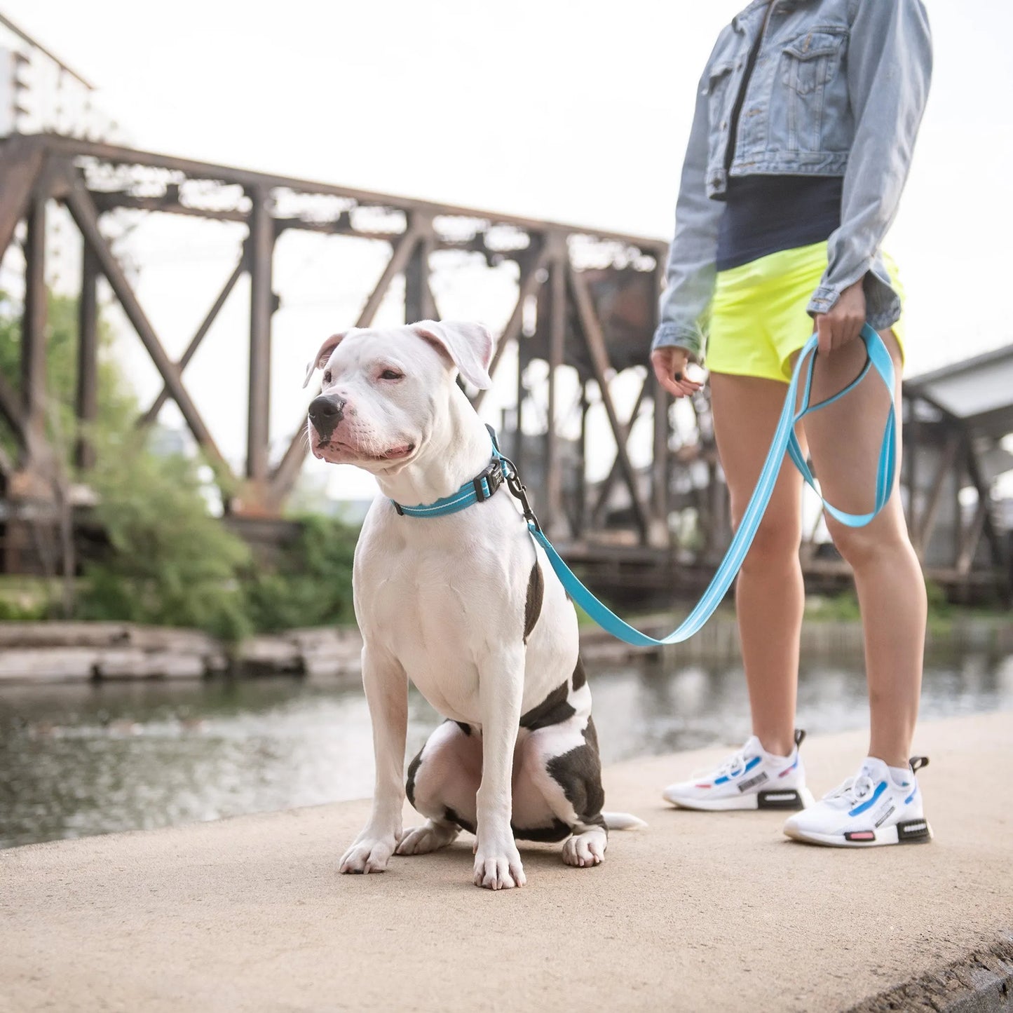 GF Pet Reflective Leash - Pets Perfect
