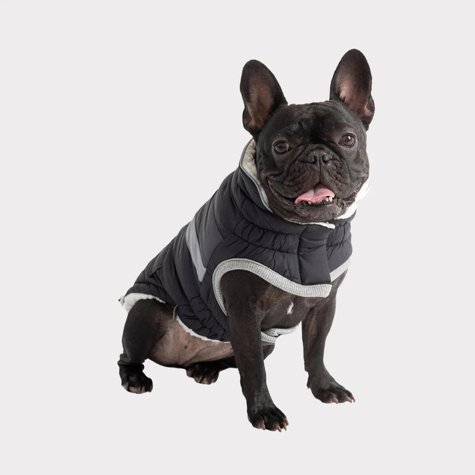 GF Pet Alpine Puffer - Retro Sherpa Lined Dog Coat, view 39