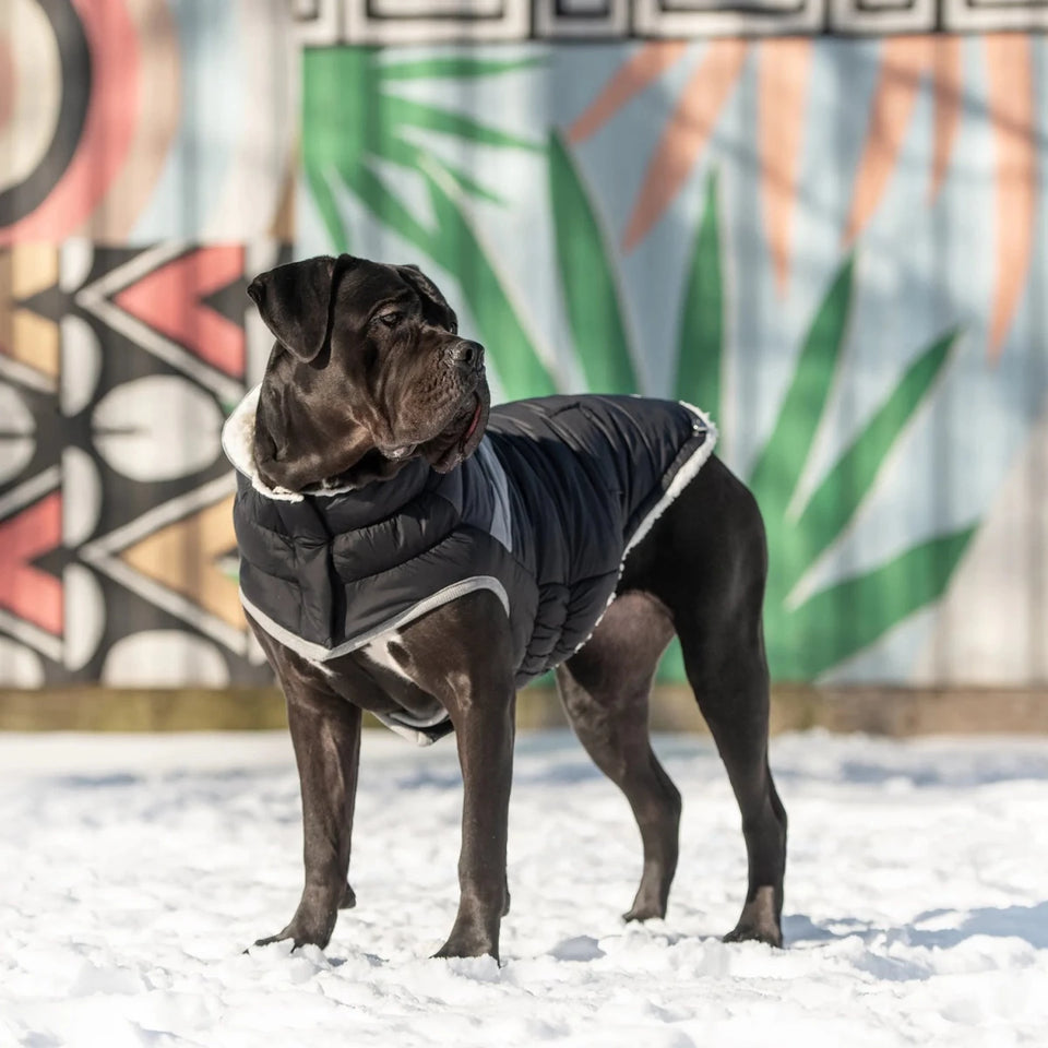 GF Pet Alpine Puffer - Retro Sherpa Lined Dog Coat, view 42