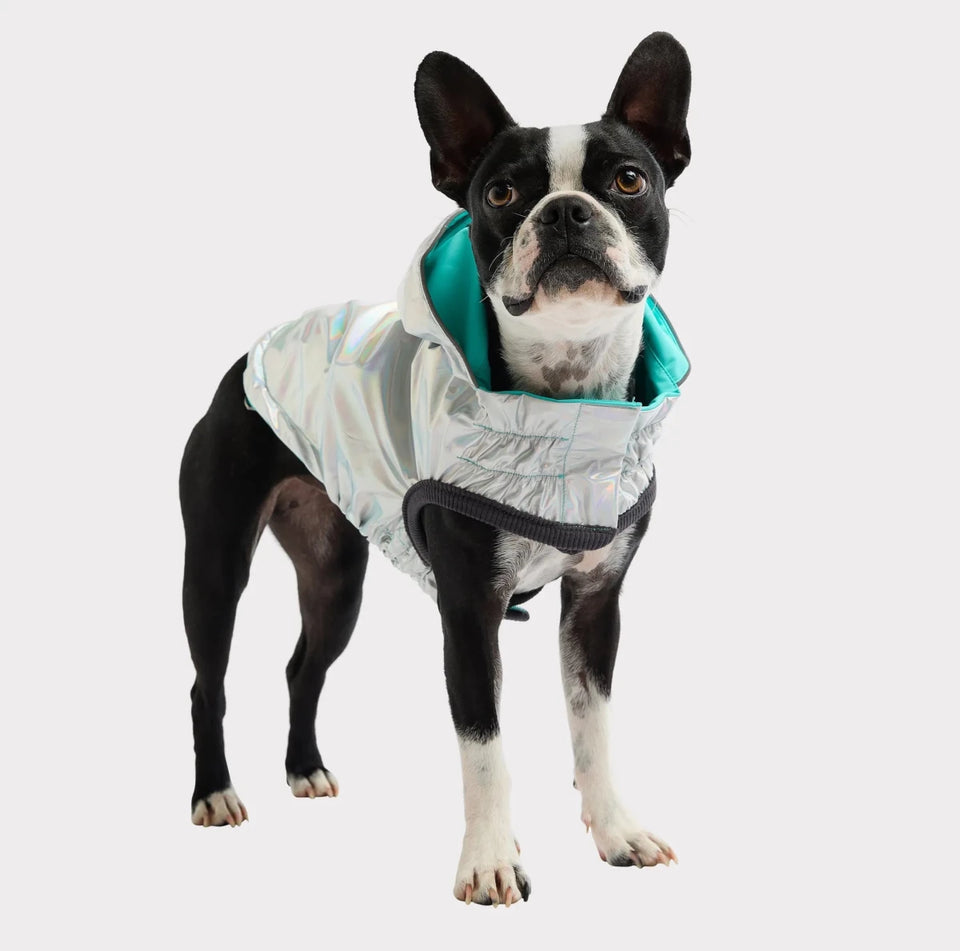 GF Pet Reversible Raincoat - Waterproof 2-in-1 Dog Rain Jacket, view 22