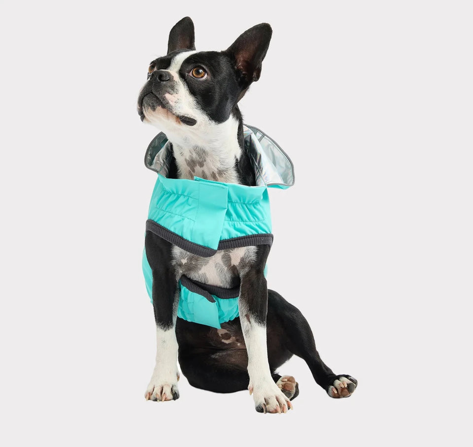 GF Pet Reversible Raincoat - Waterproof 2-in-1 Dog Rain Jacket, Neon aqua/LARGE, view 5