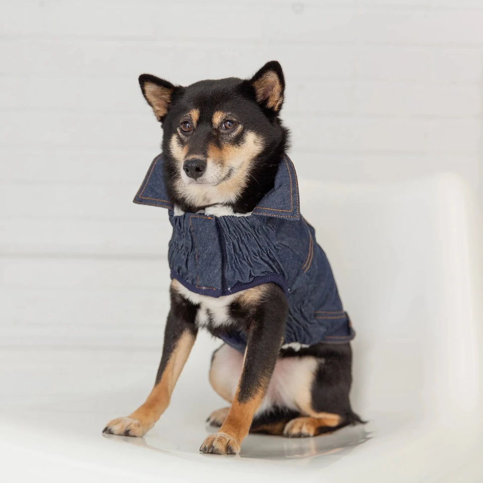 GF Pet Elasto-Fit Denim Dog Jacket with Sherpa Lining, view 13