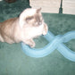 Bergan Turbo Track Cat Toy Slate Blue, 1ea/1 pk - Pets Perfect