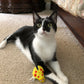 Yeowww LadyKrinkleBug Catnip Cat Toy - Pets Perfect
