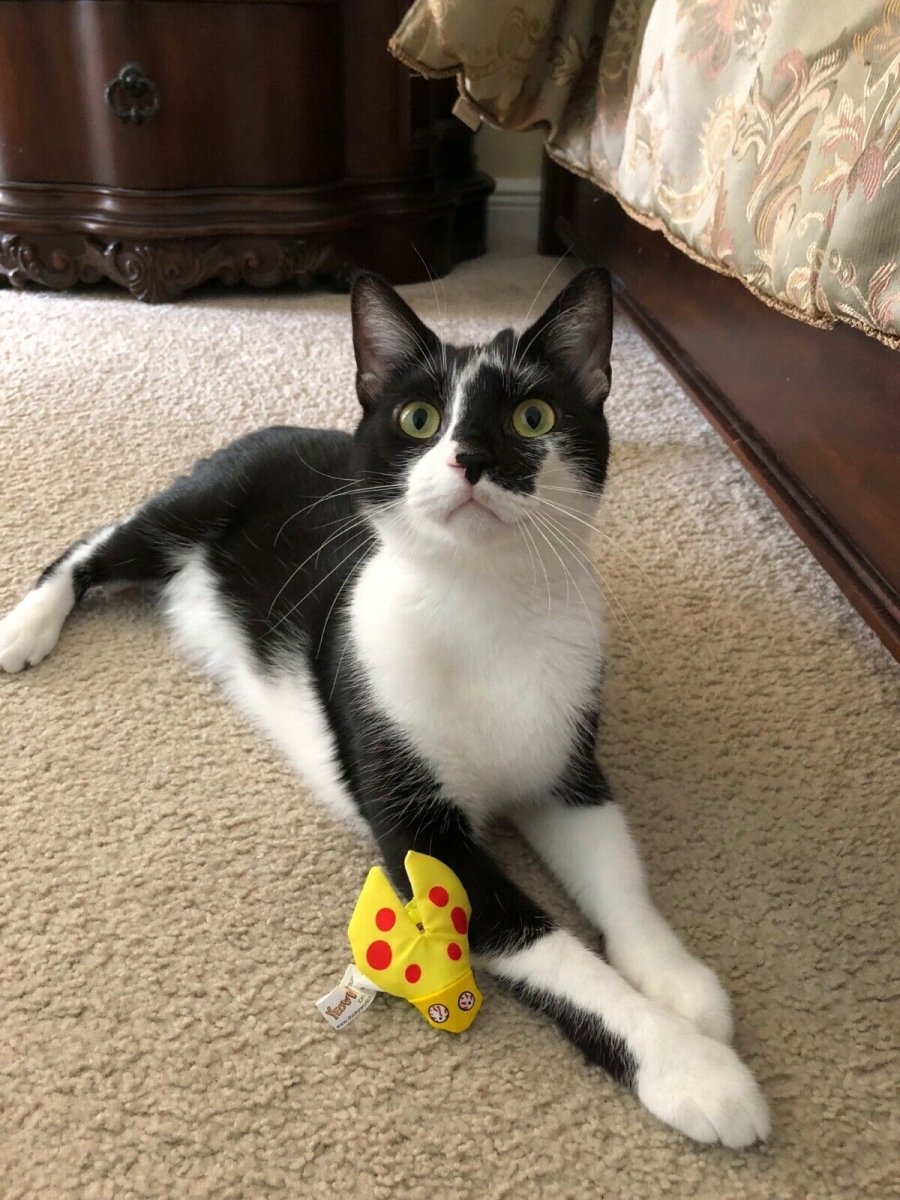 Yeowww LadyKrinkleBug Catnip Cat Toy - Pets Perfect