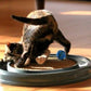 Bergan Turbo Scratcher Cat Toy Assorted, 1ea - Pets Perfect