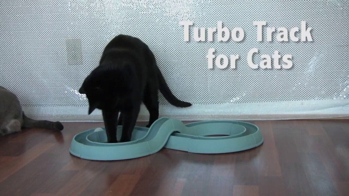Bergan Turbo Track Cat Toy Slate Blue, 1ea/1 pk - Pets Perfect