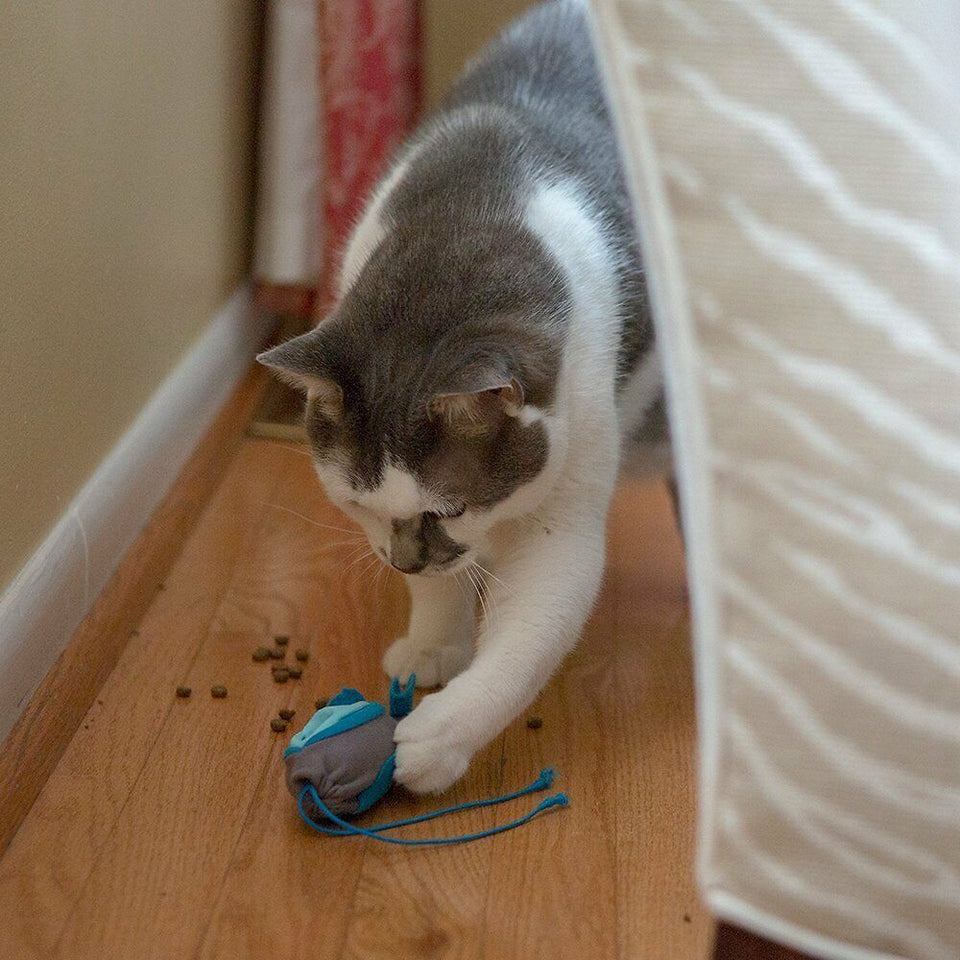 Doc & Phoebe Indoor Hunting Cat Feeder, Blue, Gray 3 ct, view 4