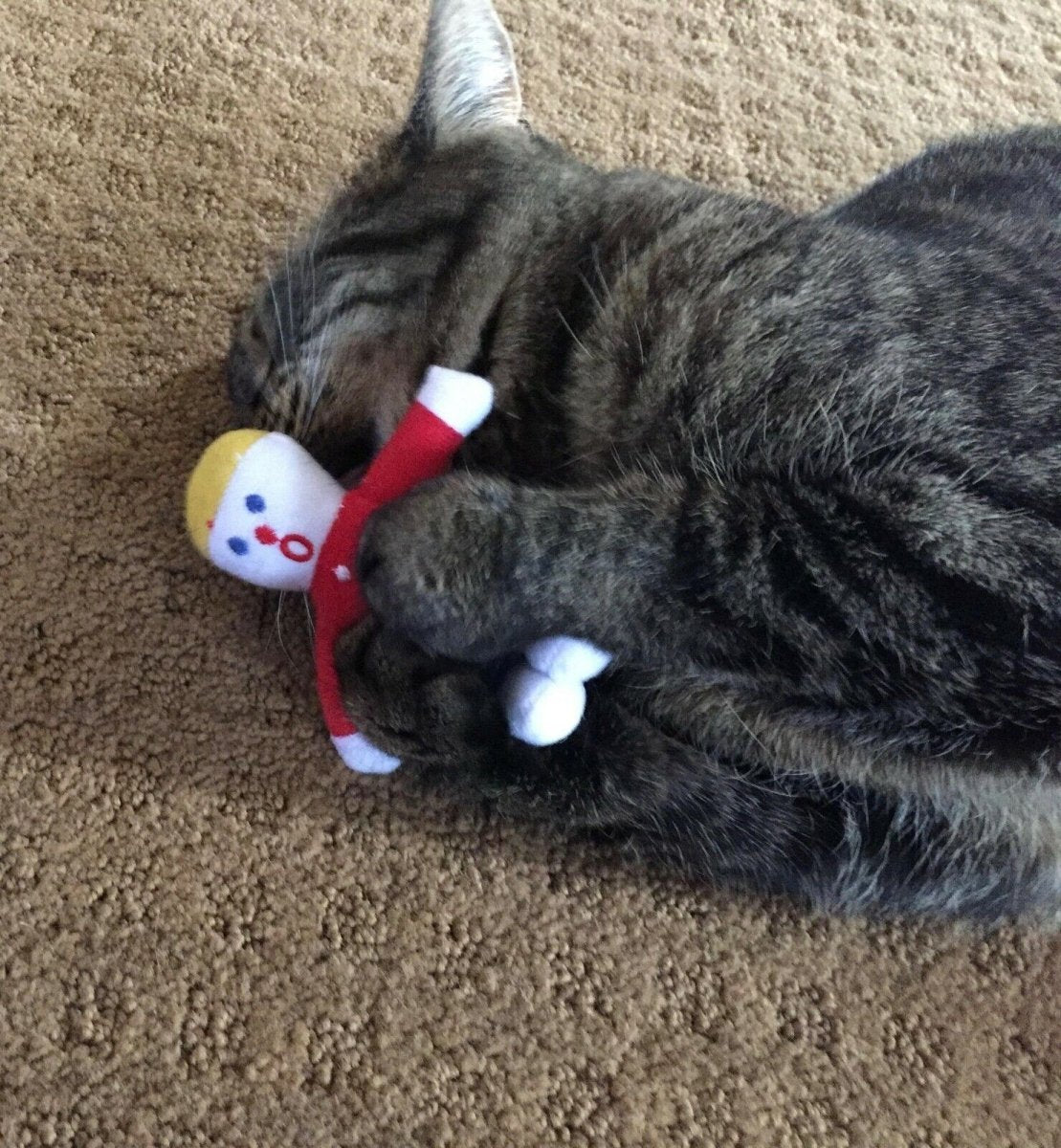 Multipet Mr. Bill Cat Toy 4 inch - Pets Perfect