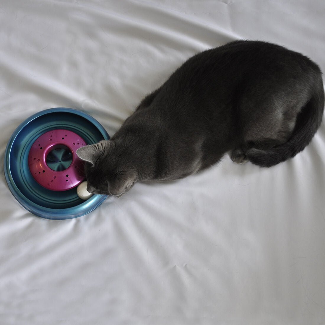 Bergan Cyclone Catnip Cat Toy Aqua, Mulberry, 1ea - Pets Perfect