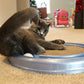 Bergan Turbo Scratcher Cat Toy Assorted, 1ea - Pets Perfect