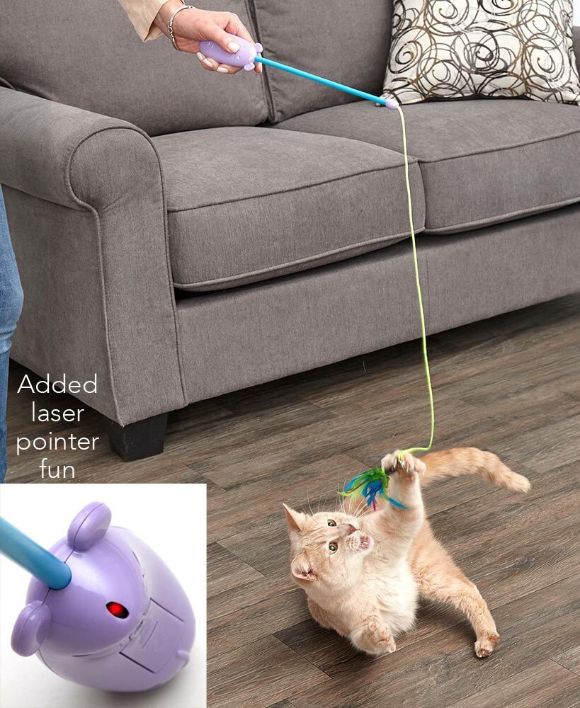 Spot Laser and Feather Teaser Wand Cat Toy Assorted 12 in - Pets Perfect