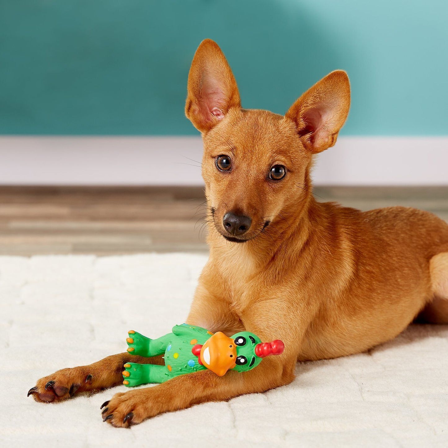Multipet Globkens Chicken Dog Toy Assorted Mini, 5.6 in, view 3