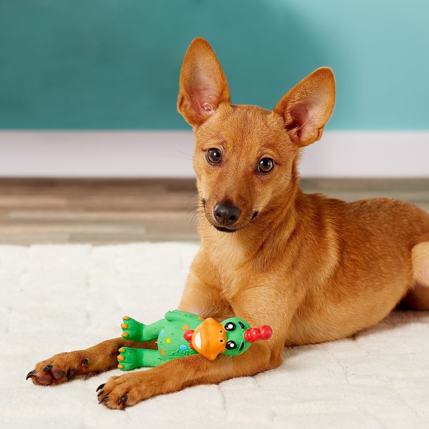 Multipet Globkens Chicken Dog Toy Assorted Mini, 5.6 in, view 3